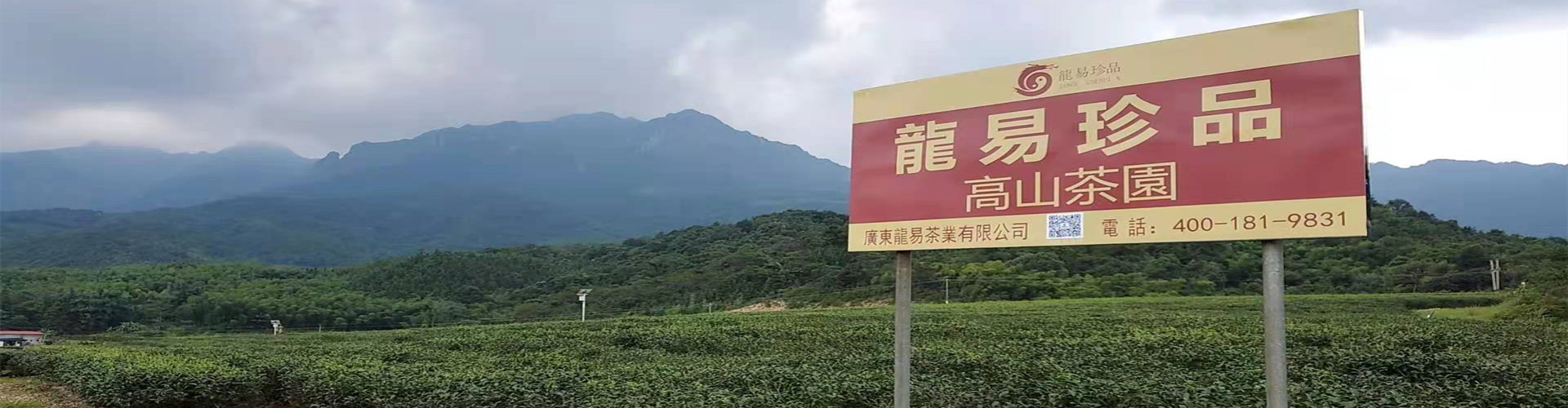 三才之道