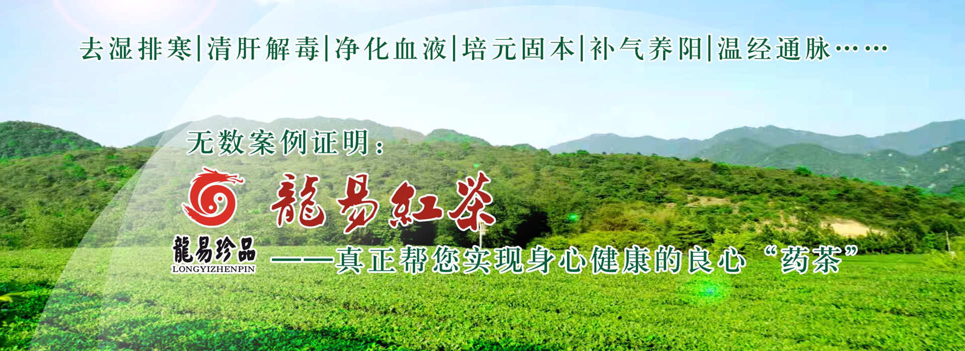 龍易紅茶：白發(fā)變黑、女性崩漏、療愈痔瘡、延緩衰老、調(diào)理三高、溫經(jīng)通脈